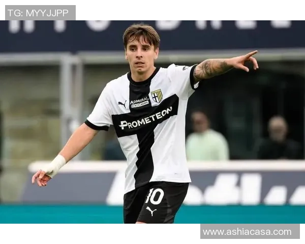 塞尔维亚国米足球明星的辉煌历程与未来展望 塞尔维亚国米足球明星的辉煌历程与未来展望