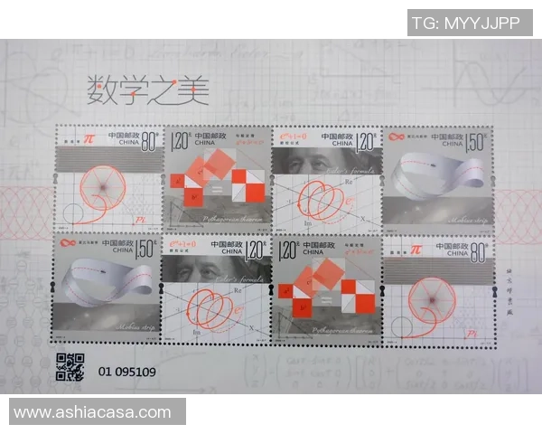 与吴丽畅谈她的排球生涯与心路历程的精彩对话