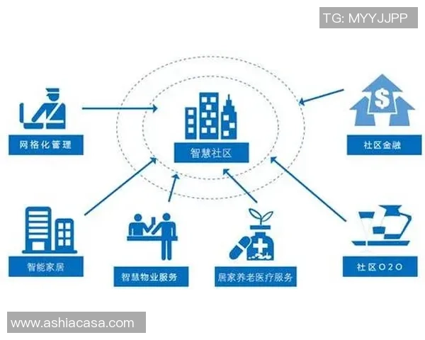 上海羽毛球队运营揭秘：深度解析背后的管理与发展策略