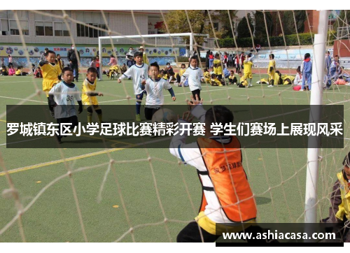 罗城镇东区小学足球比赛精彩开赛 学生们赛场上展现风采