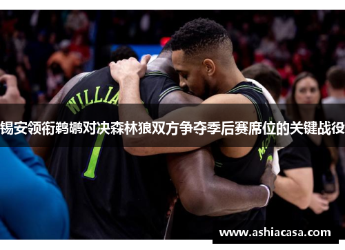 锡安领衔鹈鹕对决森林狼双方争夺季后赛席位的关键战役